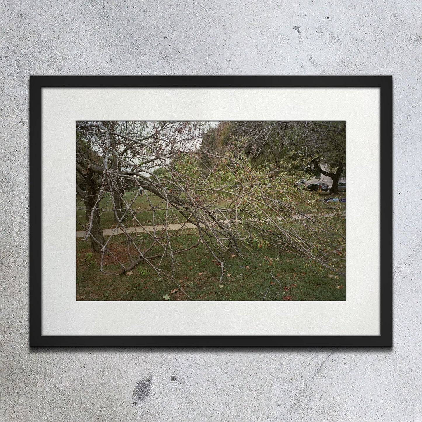 Autumn Knowledge - southspace