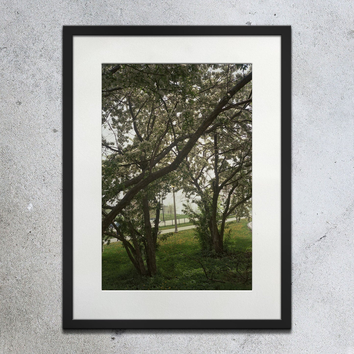 Spring Knowledge - southspace