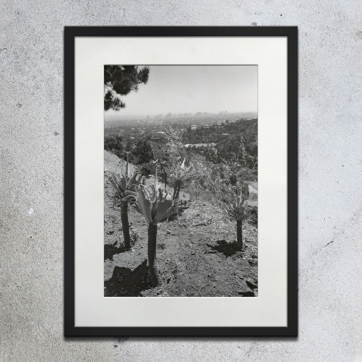 Guardian Angels - southspace