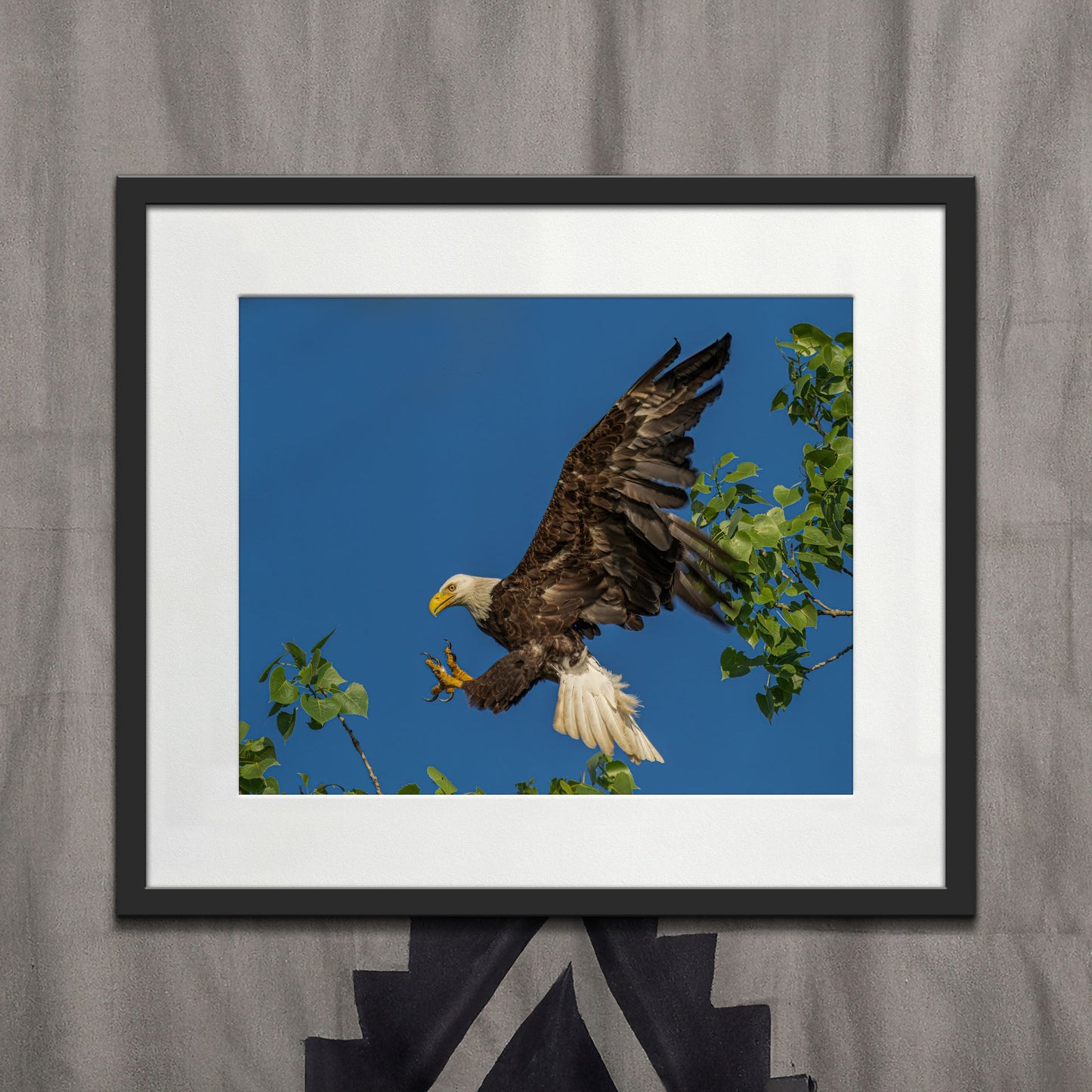 Eagle IV - southspace