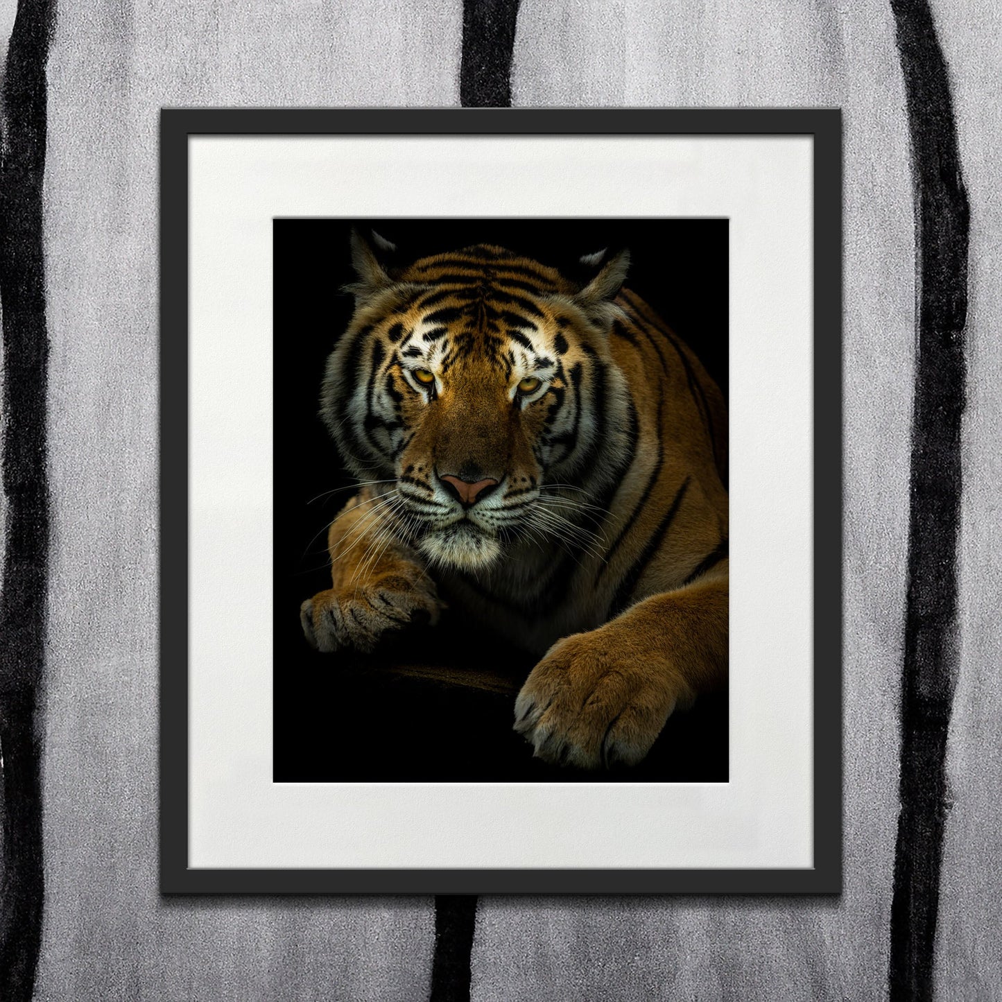 Tiger - southspace