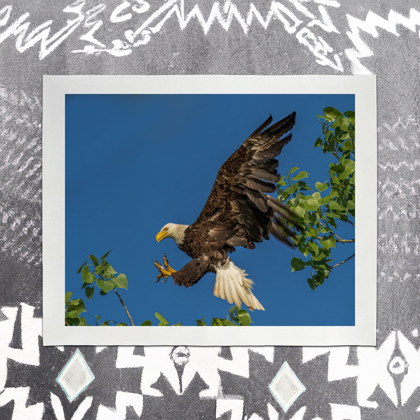 Eagle IV - southspace