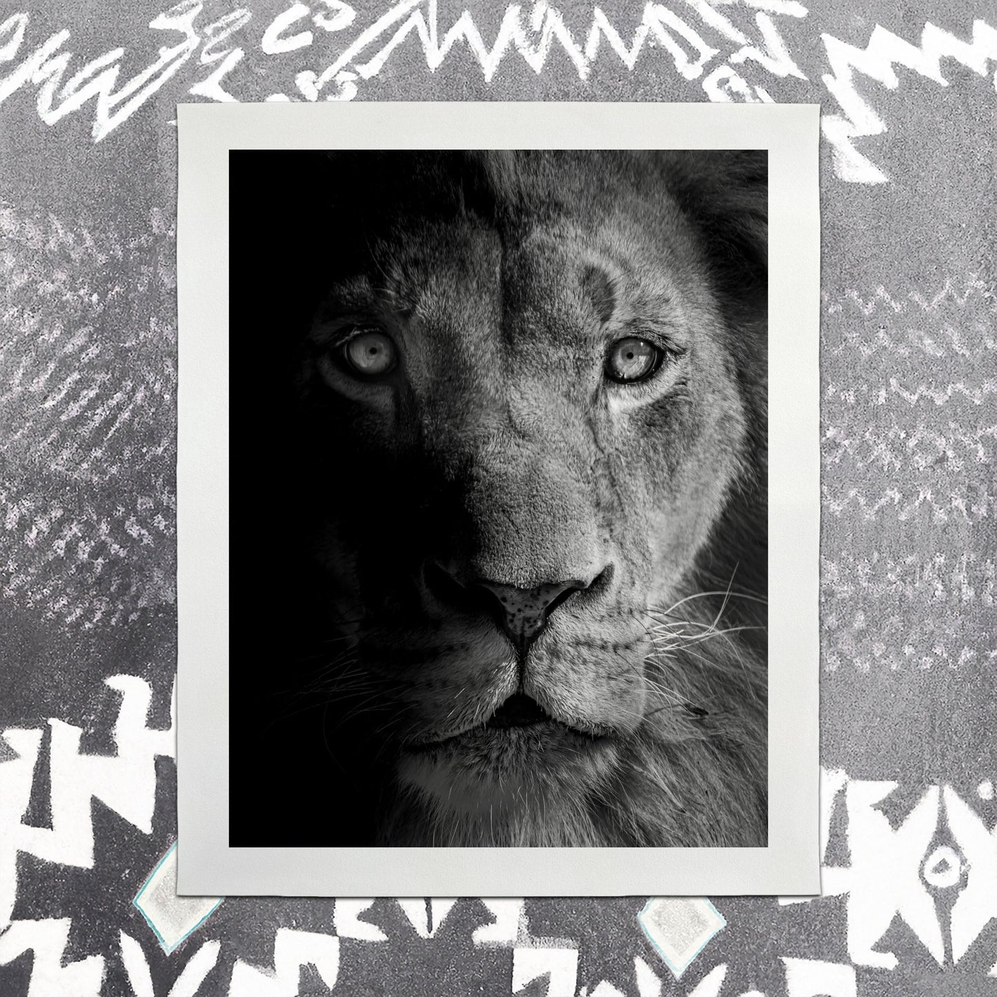 Lion II - southspace
