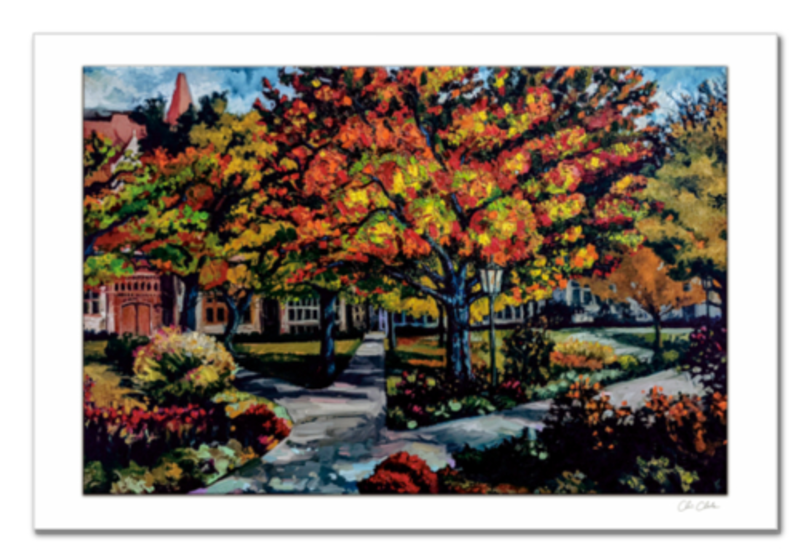 Autumn at The University of Chicago - southspace