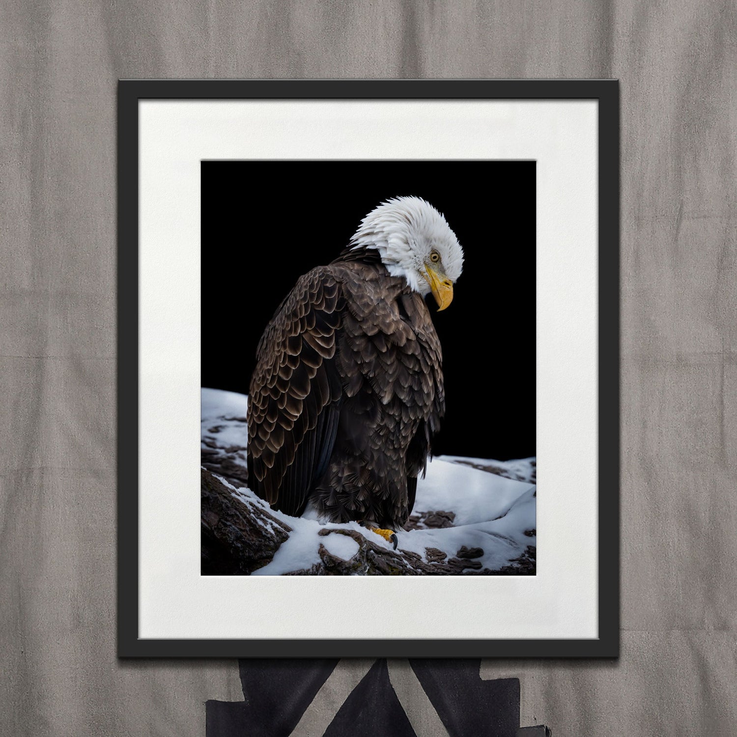 Eagle I - southspace