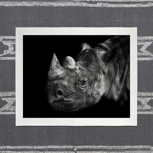 Rhinoceros - southspace