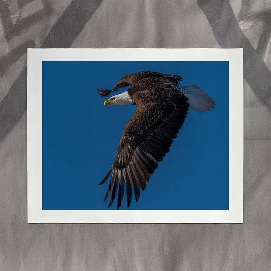 Eagle III - southspace