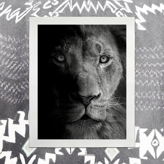 Lion II - southspace