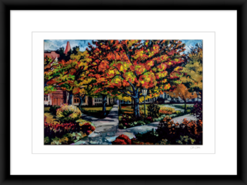 Autumn at The University of Chicago - southspace